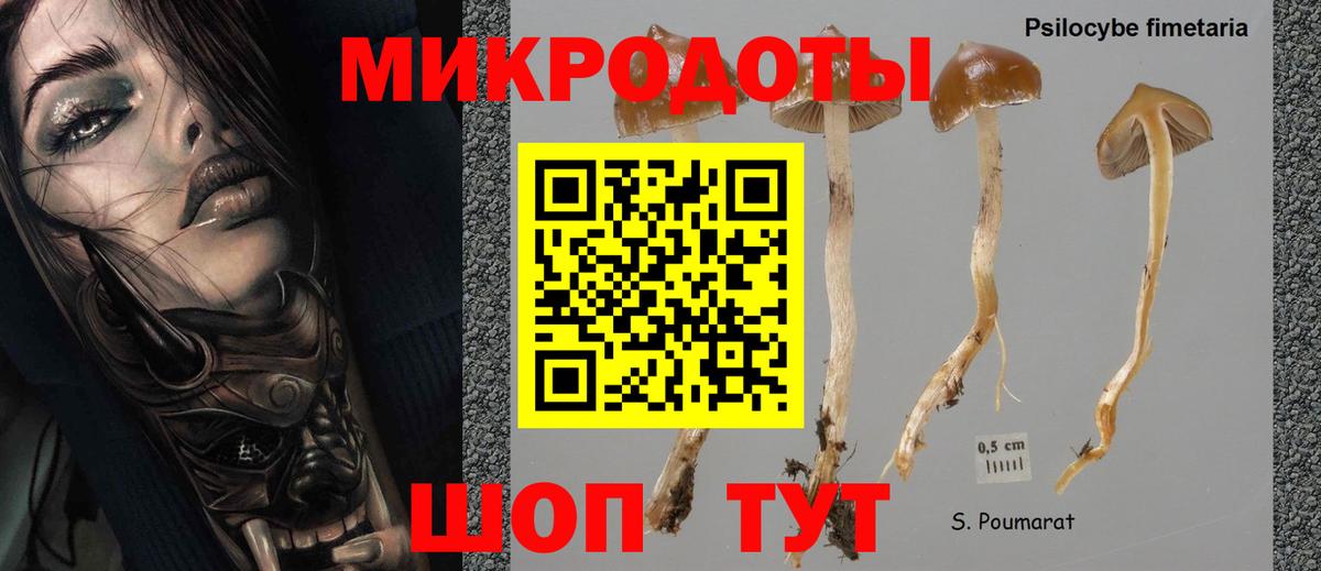 Галлюциногенные грибы мицелий  Вход с VPN  Лабинск  Псилоцибиновые грибы MAGIC MUSHROOMS 