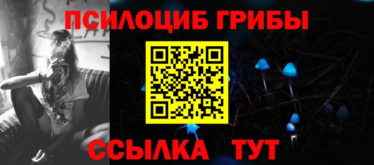Псилоцибиновые грибы мицелий Лабинск