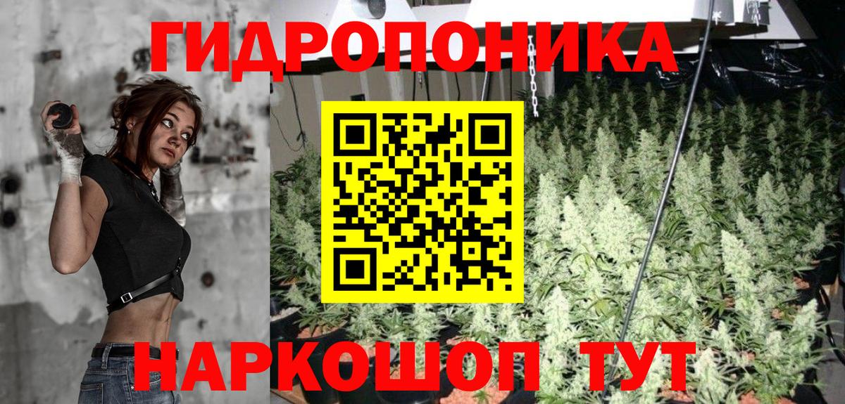 Шишки марихуана марихуана Лабинск